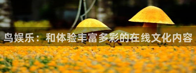 恒行5娱乐