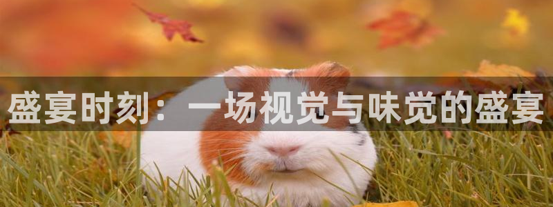 恒行5官网体验k88v典cc