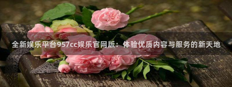 恒行5
